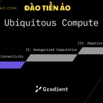 Gradient Network là gì? Hướng dẫn săn airdrop được dự đoán “bùng nổ ngang” Grass