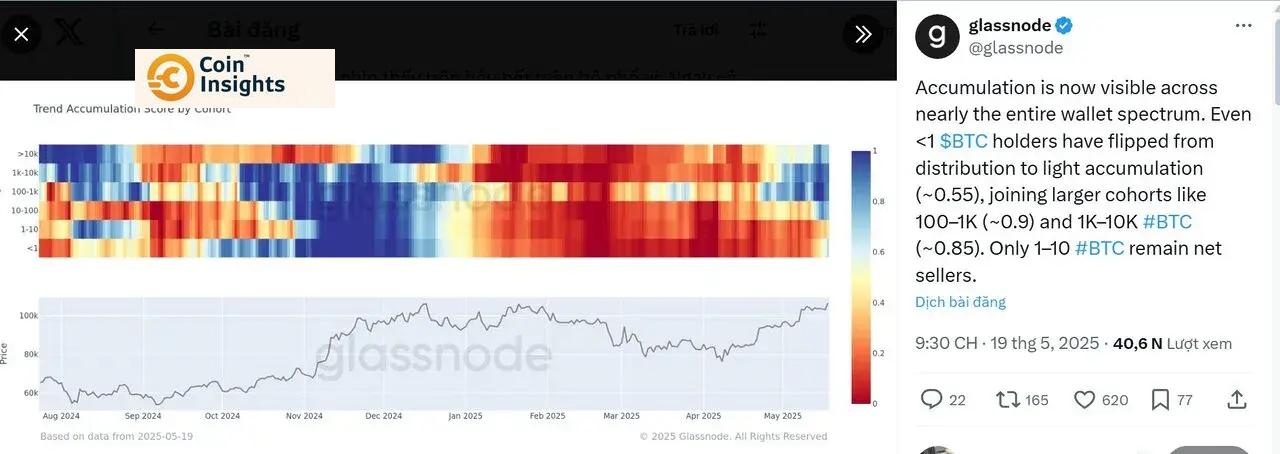 Hình ảnh minh họa về sự tăng trưởng của Bitcoin