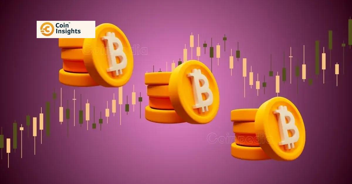 Bitcoin biểu đồ tích trữ