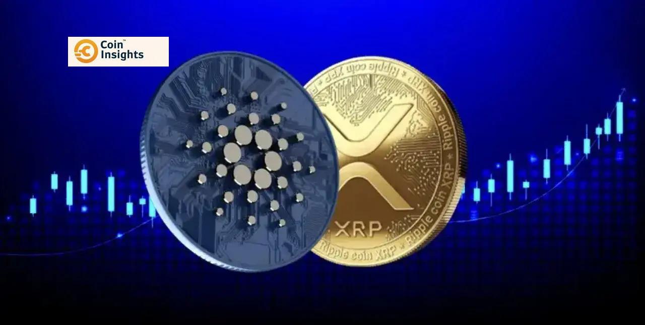 Thống kê khảo sát tại TheBlockchainMedia về sự ủng hộ của cộng đồng đối với ADA và XRP.