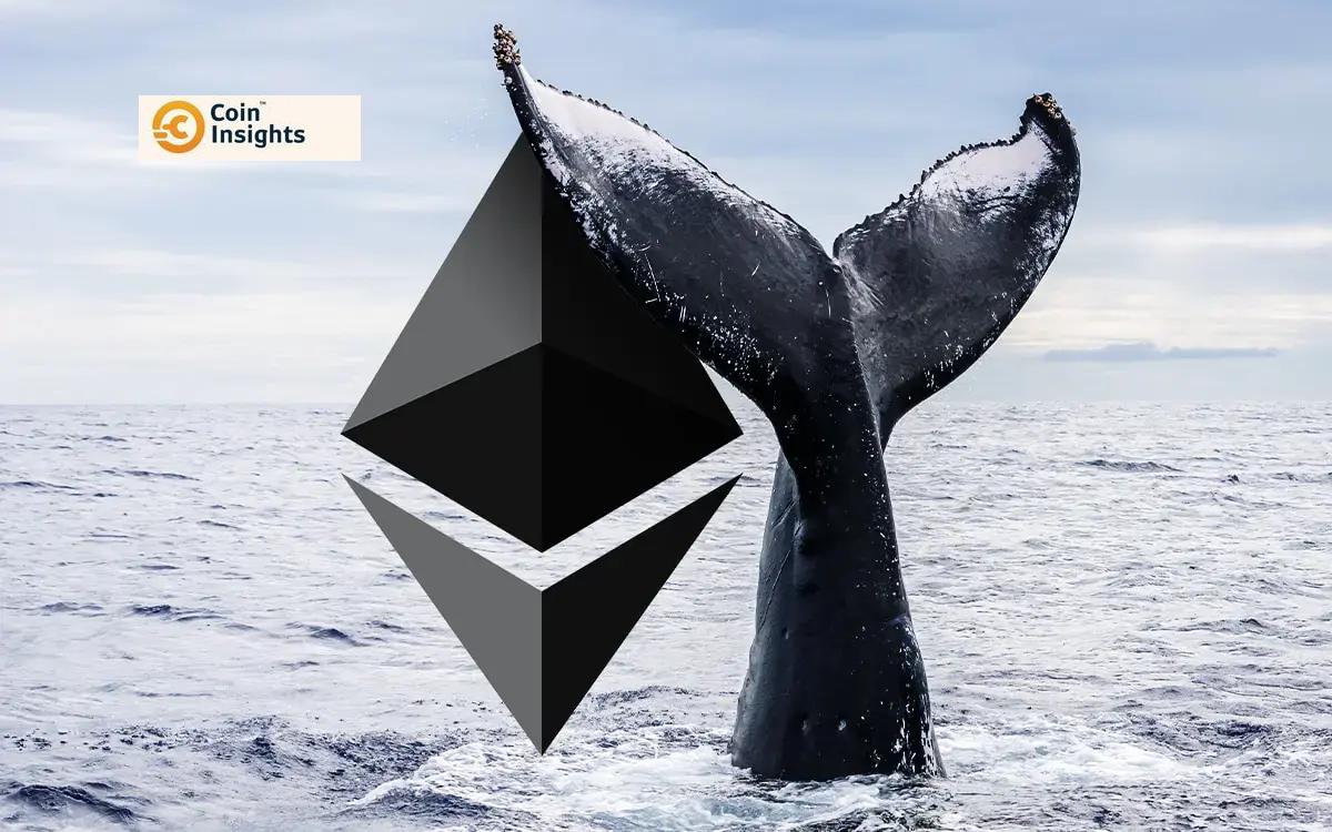 Hình ảnh minh họa về cá voi Ethereum